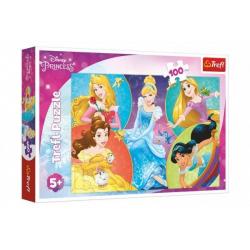 Puzzle Poznejte sladké princezny/Disney Princess 100 dílků 41x27,5cm v krabici 29x19x4cm