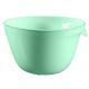 Plastová miska ESSENTIALS 3,5L - mint