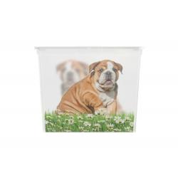 Plastový box KIS Puppy and Kitten - XL