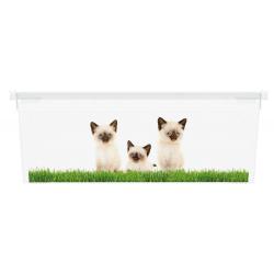 Plastový box KIS Puppy and Kitten - XS