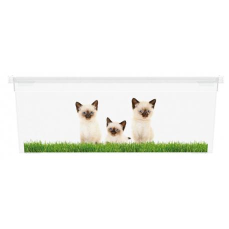 Plastový box KIS Puppy and Kitten - XS