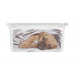 Box KIS Puppy and Kitten - XXS