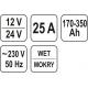 Nabíječka 25A 12/24V