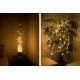 Vánoční dekorativní osvětlení – drátky, 100 LED, teple bílé