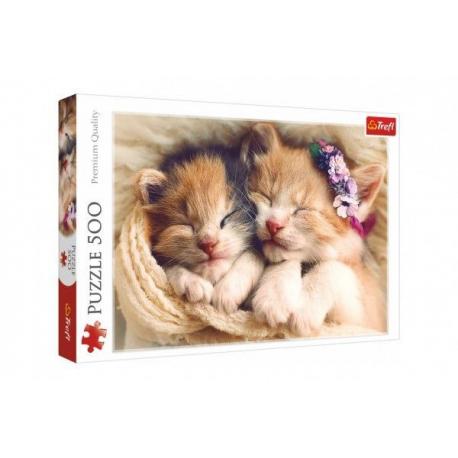 Puzzle Spící koťata 500 dílků 48 x 34 cm v krabici