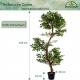 PLANTASIA Umělý strom - jerlín - 160cm