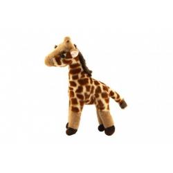 Žirafa plyš 11x31x20cm 0+