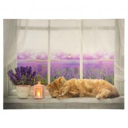 Nástěnná malba Kočka na okně, 1 LED, 30 x 40 cm